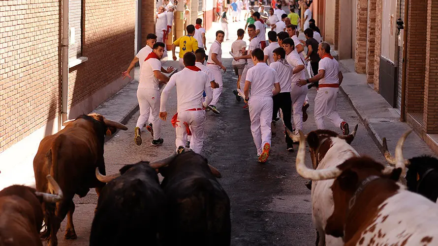 Cuarto encierro de las fiestas de San Adrián con las reses de la ganadería aragonesa de Iván López. MIGUEL OSÉS (10)