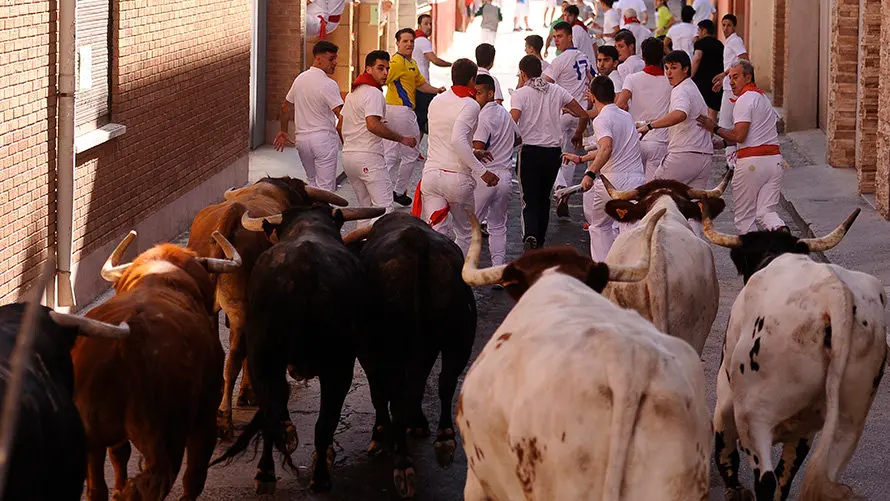 Cuarto encierro de las fiestas de San Adrián con las reses de la ganadería aragonesa de Iván López. MIGUEL OSÉS (11)