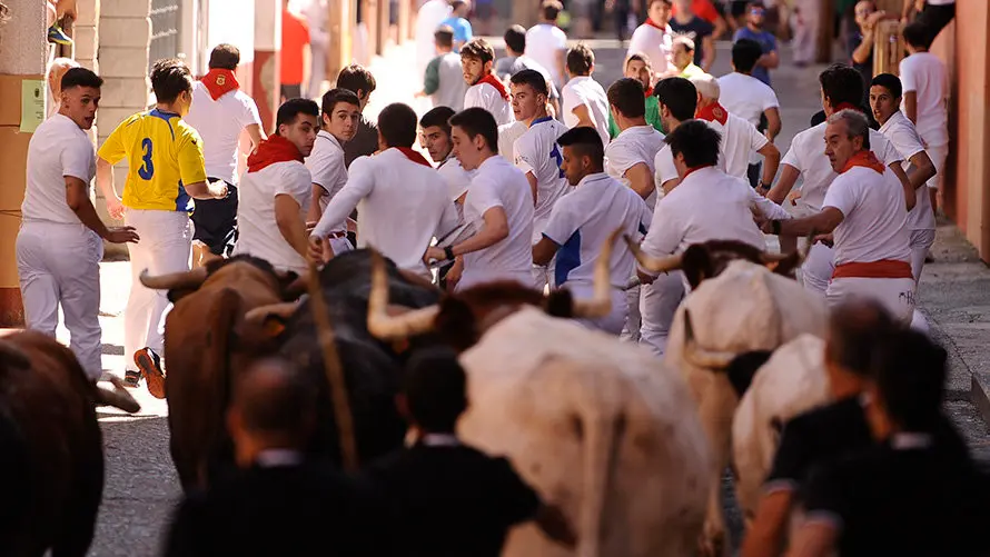Cuarto encierro de las fiestas de San Adrián con las reses de la ganadería aragonesa de Iván López. MIGUEL OSÉS (12)