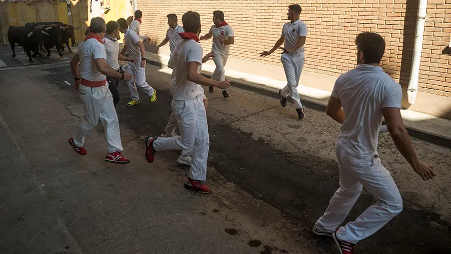 Cuarto encierro de las fiestas de San Adrián con las reses de la ganadería aragonesa de Iván López. MIGUEL OSÉS (14)