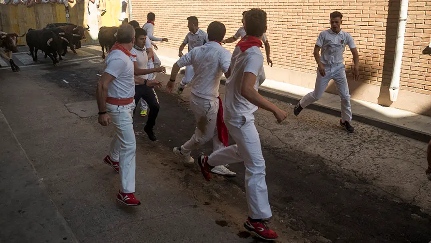 Cuarto encierro de las fiestas de San Adrián con las reses de la ganadería aragonesa de Iván López. MIGUEL OSÉS (15)