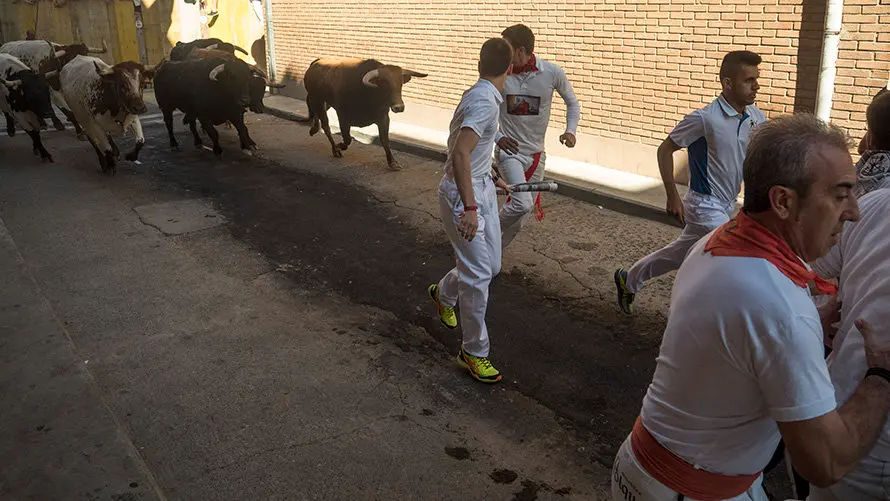 Cuarto encierro de las fiestas de San Adrián con las reses de la ganadería aragonesa de Iván López. MIGUEL OSÉS (16)