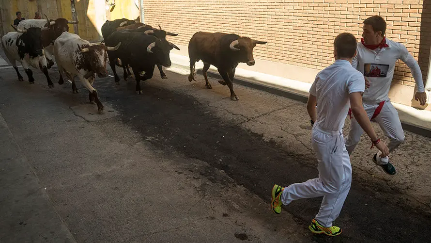 Cuarto encierro de las fiestas de San Adrián con las reses de la ganadería aragonesa de Iván López. MIGUEL OSÉS (17)