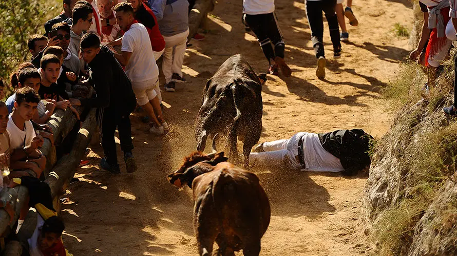 Segundo encierro del Pilón en Falces de 2017. MIGUEL OSÉS (5)