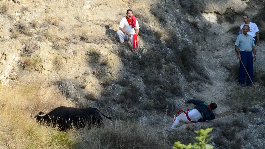 Segundo encierro del Pilón 2017 de las fiestas de Falces. PABLO LASAOSA 01
