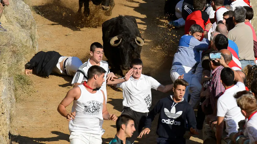 Segundo encierro del Pilón 2017 de las fiestas de Falces. PABLO LASAOSA 03