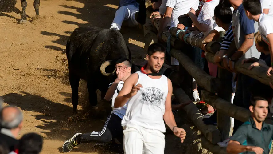 Segundo encierro del Pilón 2017 de las fiestas de Falces. PABLO LASAOSA 04