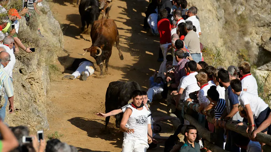 Segundo encierro del Pilón 2017 de las fiestas de Falces. PABLO LASAOSA 06