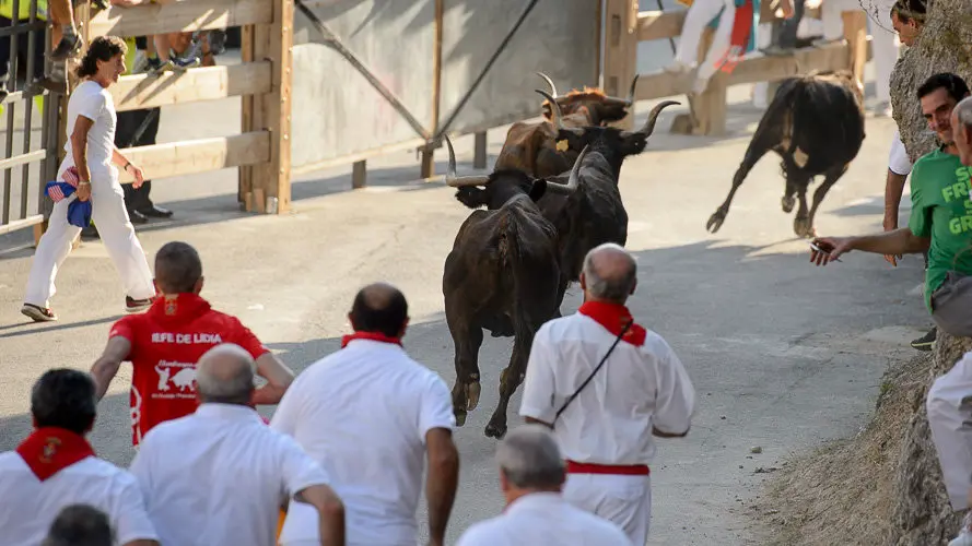 Segundo encierro del Pilón 2017 de las fiestas de Falces. PABLO LASAOSA 09