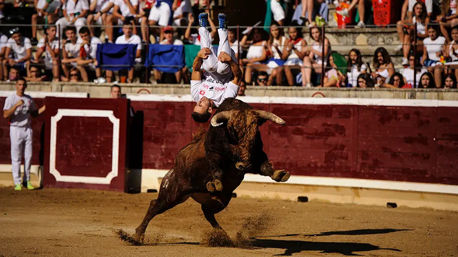 Concurso de Recortes de la Feria de Tafalla con los toros de la ganadería Macua. MIGUEL OSÉS_4