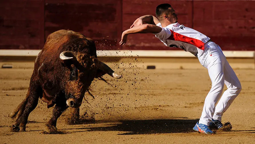 Concurso de Recortes de la Feria de Tafalla con los toros de la ganadería Macua. MIGUEL OSÉS_5