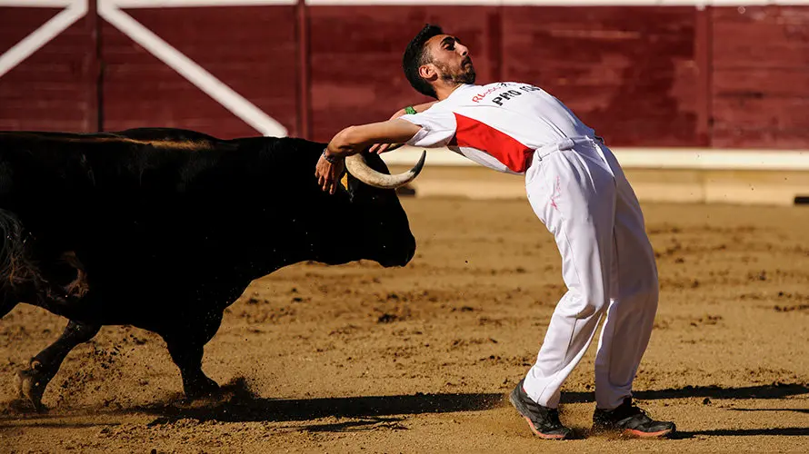 Concurso de Recortes de la Feria de Tafalla con los toros de la ganadería Macua. MIGUEL OSÉS_9