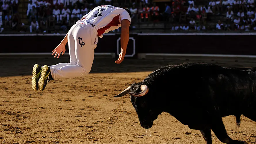 Concurso de Recortes de la Feria de Tafalla con los toros de la ganadería Macua. MIGUEL OSÉS_19