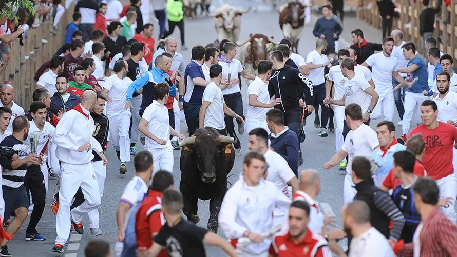 Tercero encierro de Tafalla 2017 con las reses de la ganadería Macua. MIGUEL OSÉS (1)