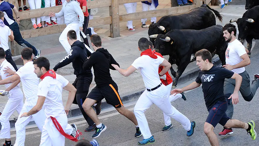 Tercero encierro de Tafalla 2017 con las reses de la ganadería Macua. MIGUEL OSÉS (5)