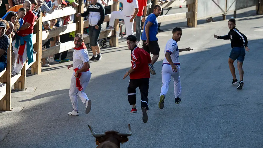 Quinto encierro del pilón 2017 de las fiestas de Falces. PABLO LASAOSA 08