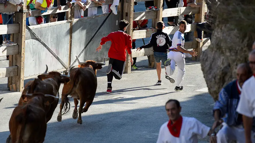 Quinto encierro del pilón 2017 de las fiestas de Falces. PABLO LASAOSA 09