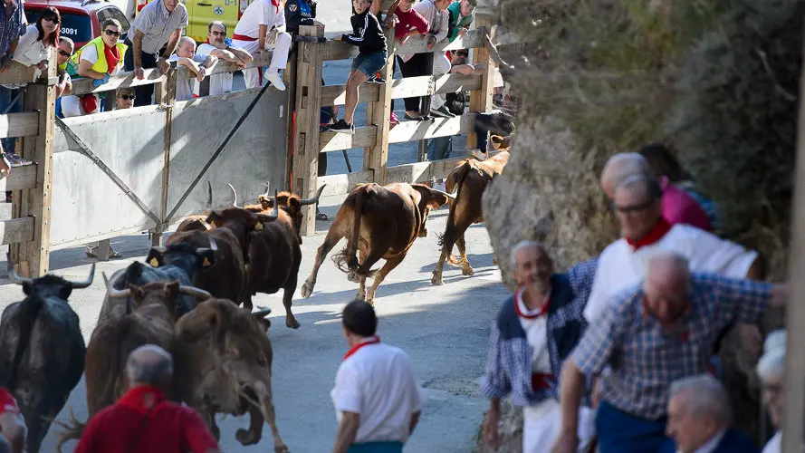 Quinto encierro del pilón 2017 de las fiestas de Falces. PABLO LASAOSA 10