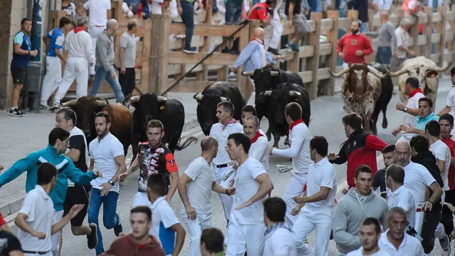 Tercer encierro de las fiestas de Tafalla 2017. PABLO LASAOSA 01