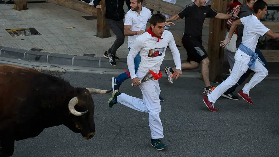 Tercer encierro de las fiestas de Tafalla 2017. PABLO LASAOSA 04