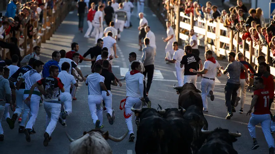 Tercer encierro de las fiestas de Tafalla 2017. PABLO LASAOSA 06