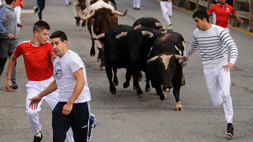 Primer encierro de las fiestas de Sangüesa 2017. MIGUEL OSÉS_5