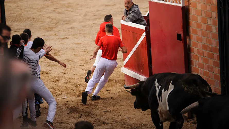 Primer encierro de las fiestas de Sangüesa 2017. MIGUEL OSÉS_8