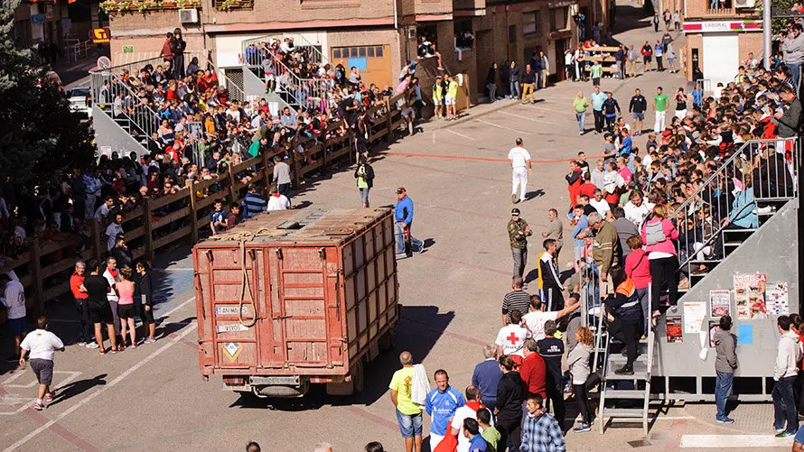 Segundo día de Soga en Lodosa, con la suelta de un toro ensogado de El Pincha. MIGUEL OSÉS (2)