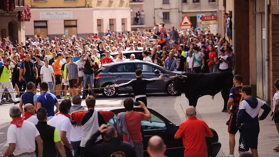 Segundo día de Soga en Lodosa, con la suelta de un toro ensogado de El Pincha. MIGUEL OSÉS (14)