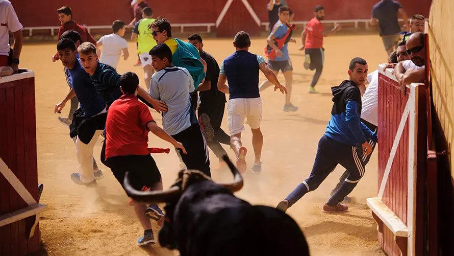 Segundo día de Soga en Lodosa, con la suelta de un toro ensogado de El Pincha. MIGUEL OSÉS (19)
