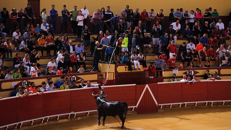 Segundo día de Soga en Lodosa, con la suelta de un toro ensogado de El Pincha. MIGUEL OSÉS (20)