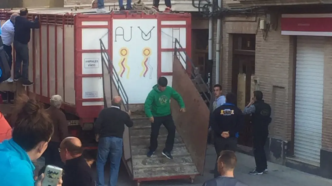 Suelta del toro ensogado de Víctor Ustarroz por las calles de Lodosa durante la tarde del sábado de las fiestas de las Angustias (1)
