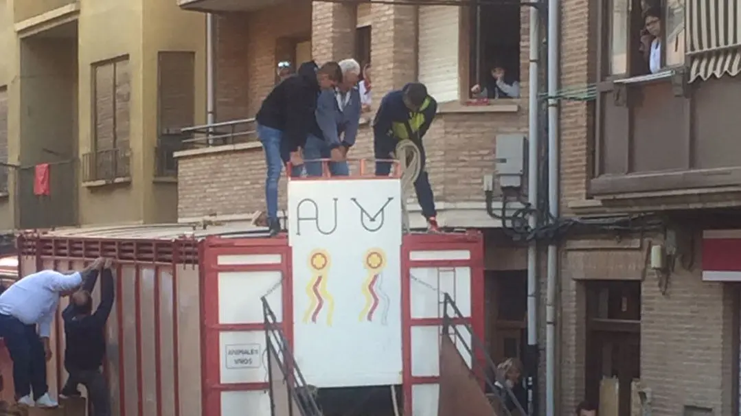 Suelta del toro ensogado de Víctor Ustarroz por las calles de Lodosa durante la tarde del sábado de las fiestas de las Angustias (2)