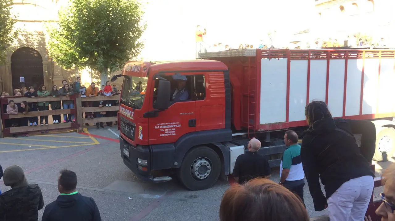 Suelta del toro ensogado de Víctor Ustarroz por las calles de Lodosa durante la tarde del sábado de las fiestas de las Angustias (3)