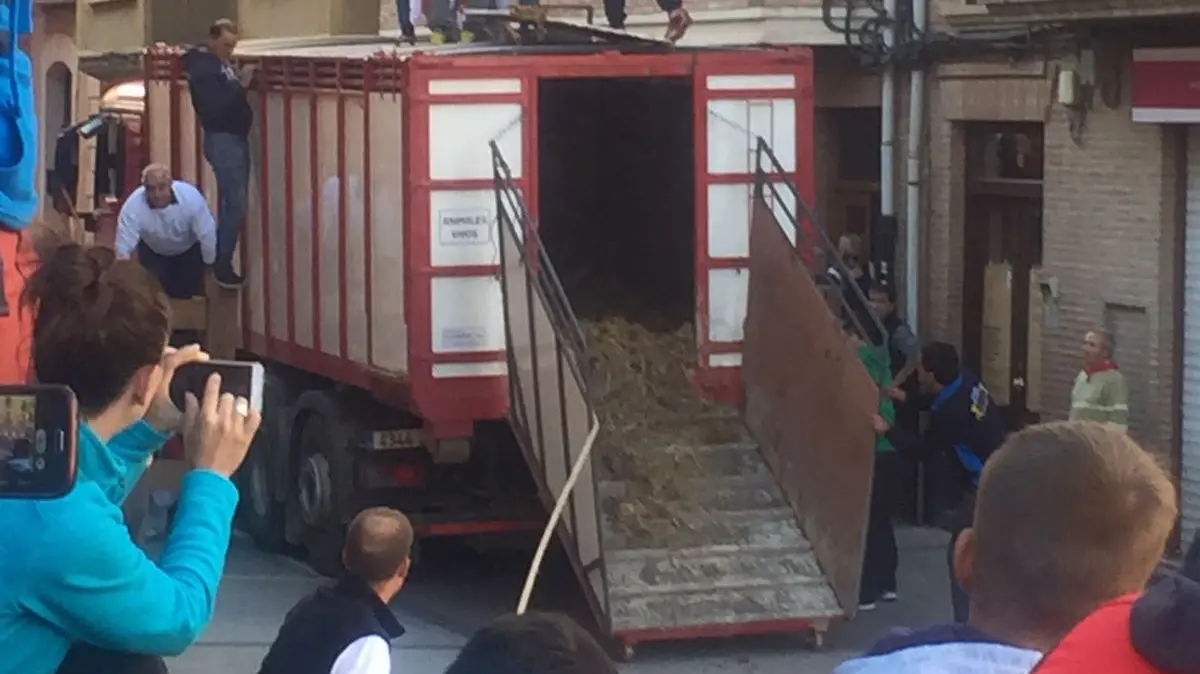 Suelta del toro ensogado de Víctor Ustarroz por las calles de Lodosa durante la tarde del sábado de las fiestas de las Angustias (4)