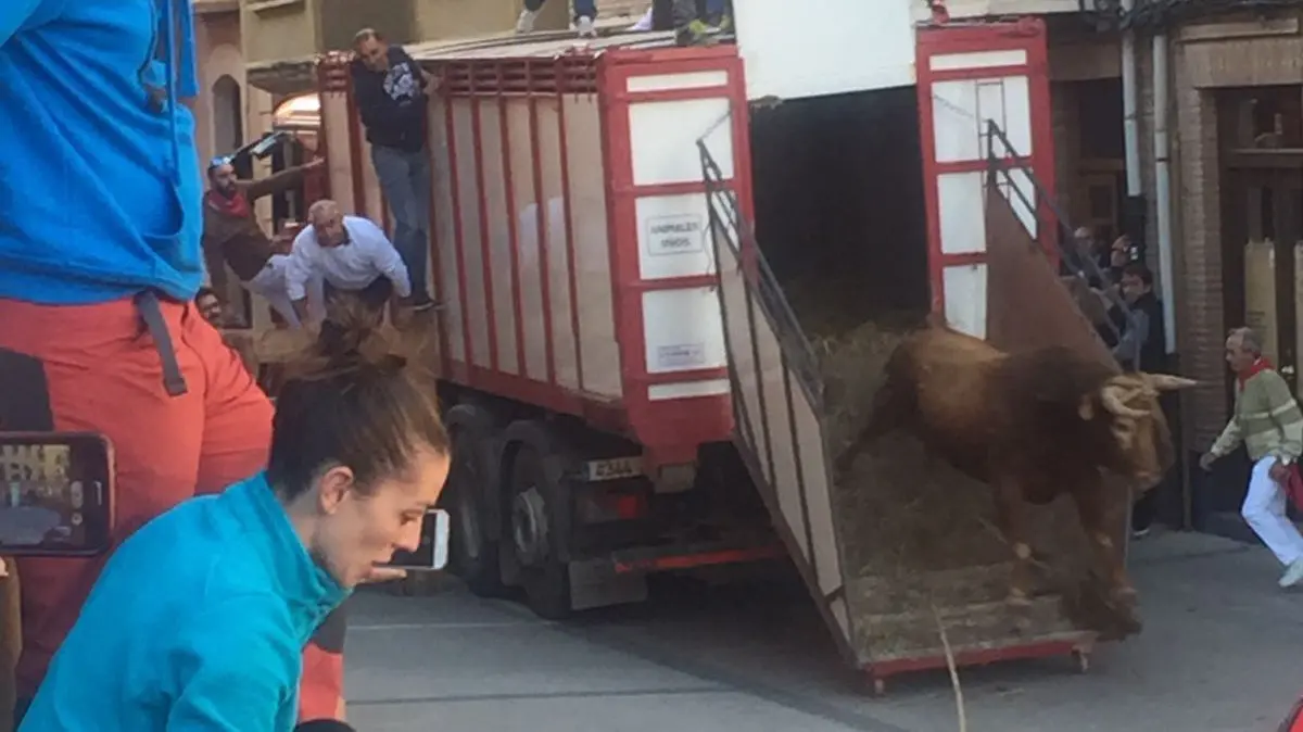 Suelta del toro ensogado de Víctor Ustarroz por las calles de Lodosa durante la tarde del sábado de las fiestas de las Angustias (5)