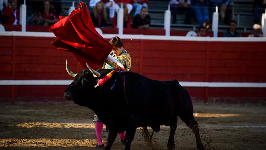 Corrida del hierro de Alberto Mateos en Sangüesa para Sánchez Vara, José Ercila y Javier Marín. PABLO LASAOSA 15
