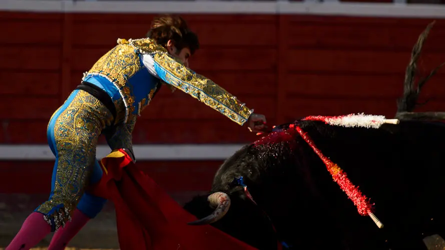 Corrida del hierro de Alberto Mateos en Sangüesa para Sánchez Vara, José Ercila y Javier Marín. PABLO LASAOSA 16