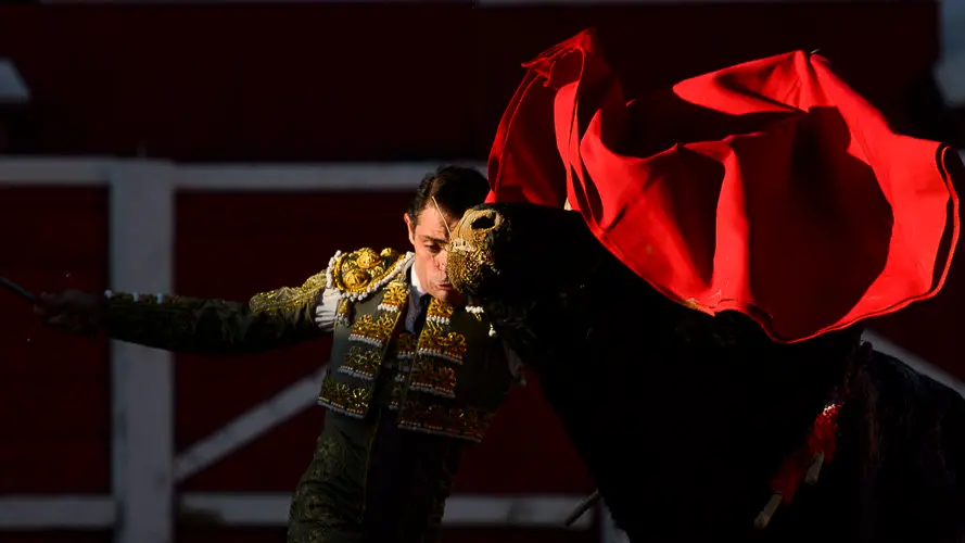 Corrida del hierro de Alberto Mateos en Sangüesa para Sánchez Vara, José Ercila y Javier Marín. PABLO LASAOSA 17