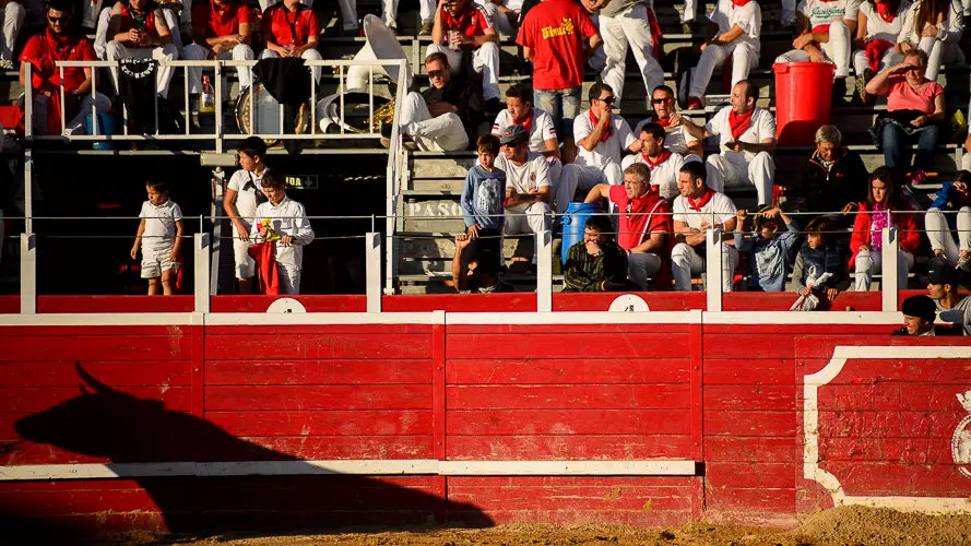 Corrida del hierro de Alberto Mateos en Sangüesa para Sánchez Vara, José Ercila y Javier Marín. PABLO LASAOSA 20