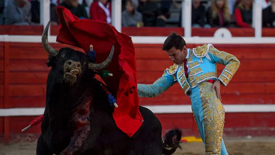 Corrida del hierro de Alberto Mateos en Sangüesa para Sánchez Vara, José Ercila y Javier Marín. PABLO LASAOSA 22