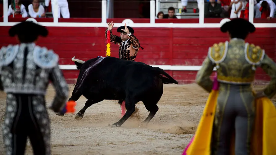 Corrida del hierro de Alberto Mateos en Sangüesa para Sánchez Vara, José Ercila y Javier Marín. PABLO LASAOSA 28