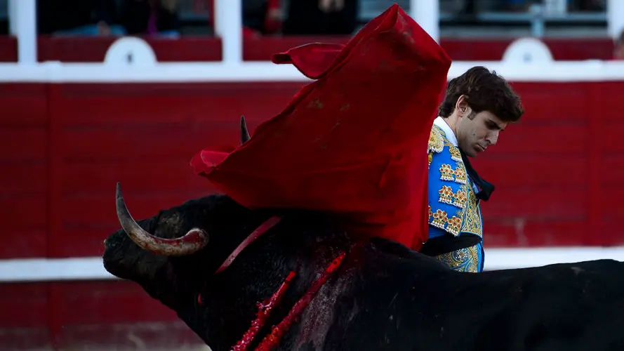 Corrida del hierro de Alberto Mateos en Sangüesa para Sánchez Vara, José Ercila y Javier Marín. PABLO LASAOSA 29