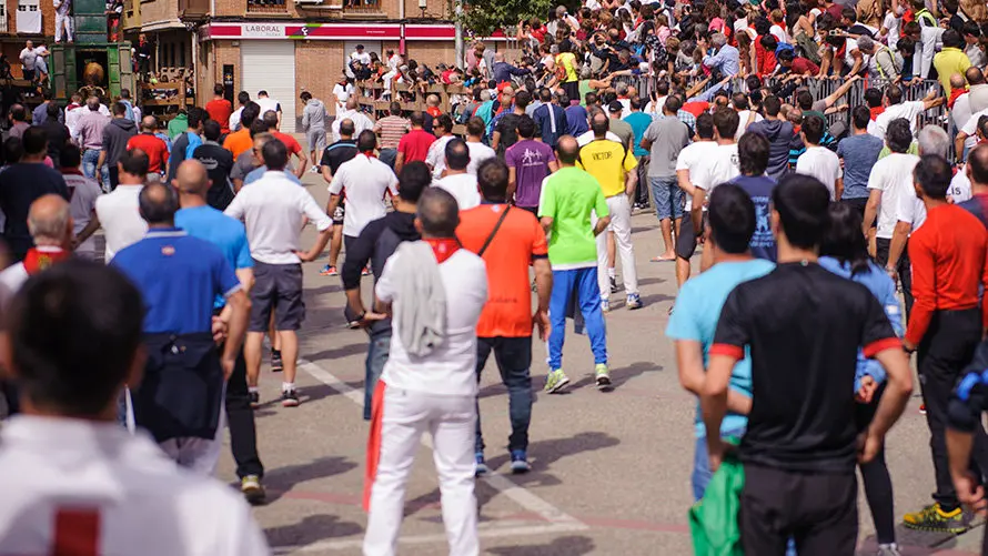 El inagotable toro ensogado de Eulogio Mateo recorre las calles de Lodosa en el Domingo de las Angustias. MIGUEL OSÉS (4)
