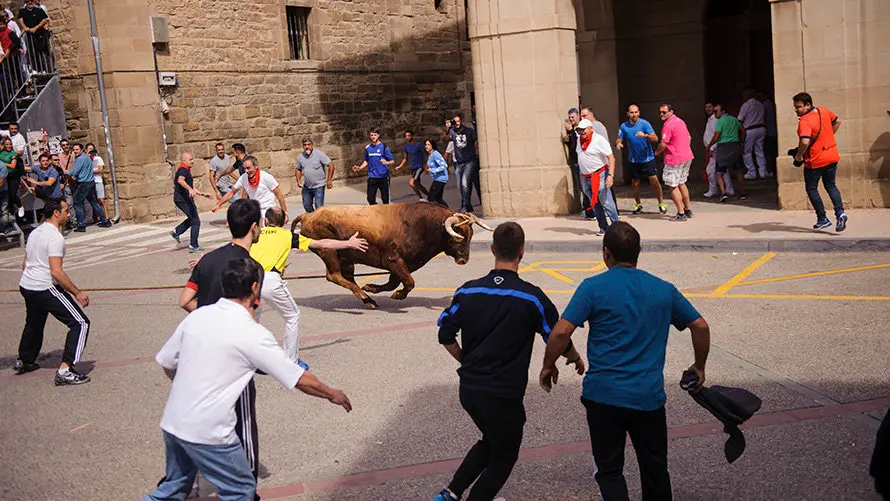 El inagotable toro ensogado de Eulogio Mateo recorre las calles de Lodosa en el Domingo de las Angustias. MIGUEL OSÉS (7)