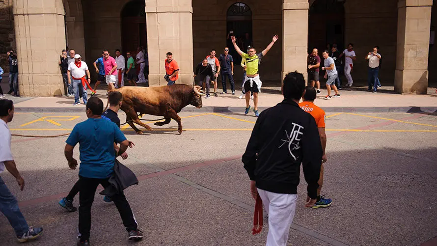 El inagotable toro ensogado de Eulogio Mateo recorre las calles de Lodosa en el Domingo de las Angustias. MIGUEL OSÉS (8)
