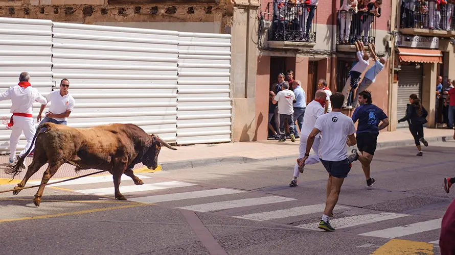 El inagotable toro ensogado de Eulogio Mateo recorre las calles de Lodosa en el Domingo de las Angustias. MIGUEL OSÉS (10)