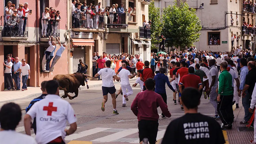 El inagotable toro ensogado de Eulogio Mateo recorre las calles de Lodosa en el Domingo de las Angustias. MIGUEL OSÉS (11)