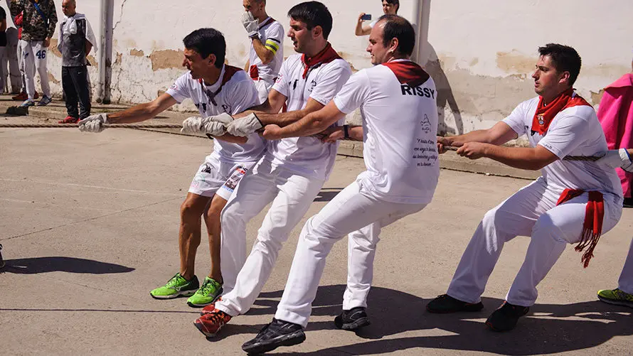 El inagotable toro ensogado de Eulogio Mateo recorre las calles de Lodosa en el Domingo de las Angustias. MIGUEL OSÉS (14)