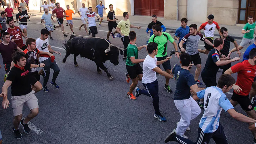 Último día del toro con soga 2017 en Lodosa con el hierro de Pincha. MIGUEL OSÉS (8)